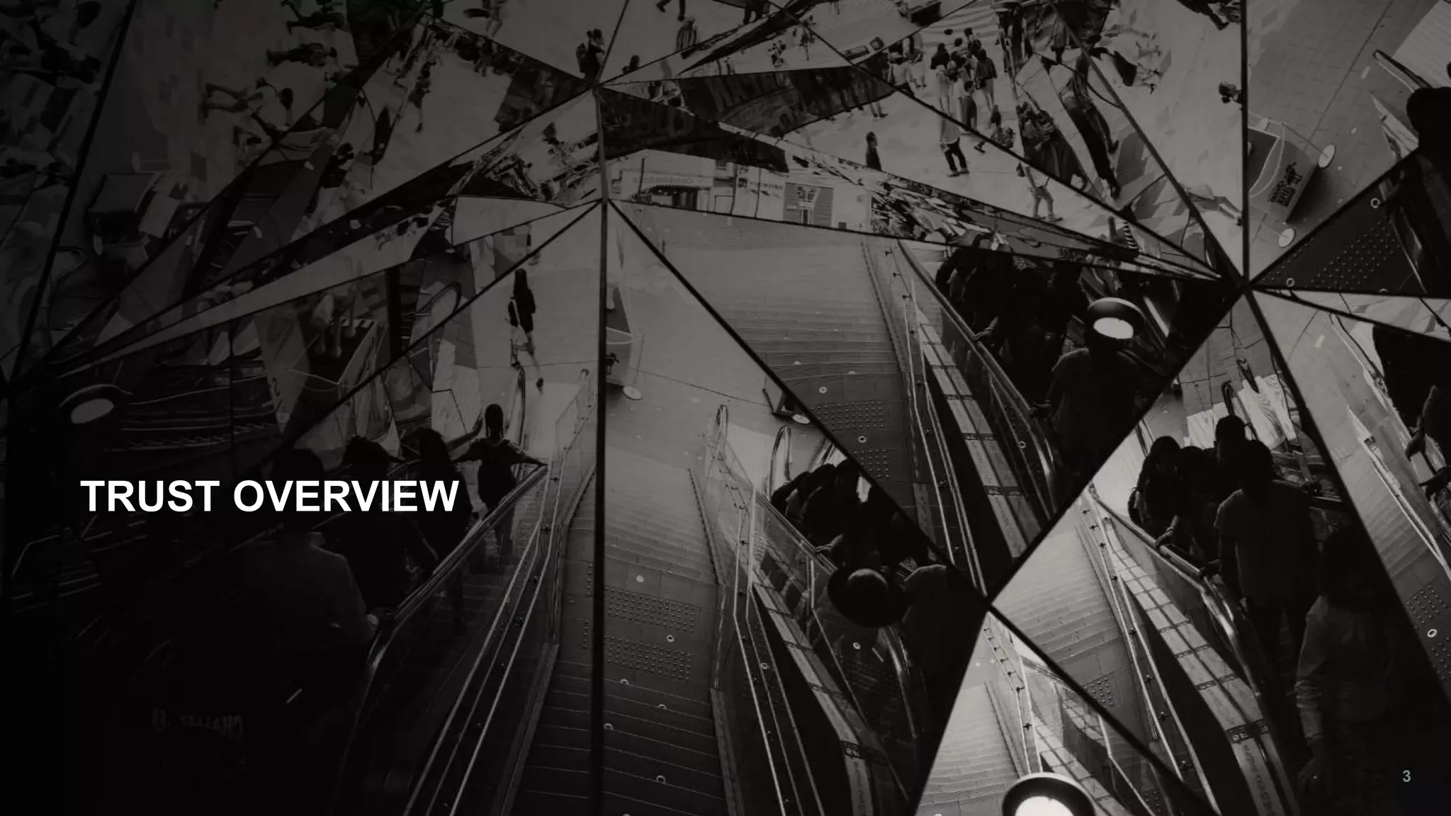 3
TRUST OVERVIEW
 