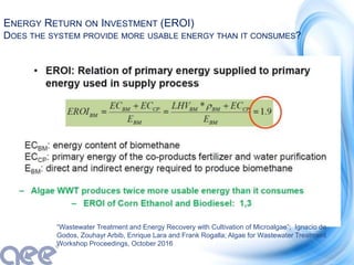 ENERGY RETURN ON INVESTMENT (EROI)
DOES THE SYSTEM PROVIDE MORE USABLE ENERGY THAN IT CONSUMES?
 Noah Lead
“Wastewater Treatment and Energy Recovery with Cultivation of Microalgae”; Ignacio de
Godos, Zouhayr Arbib, Enrique Lara and Frank Rogalla; Algae for Wastewater Treatment
Workshop Proceedings, October 2016
 