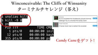 Stay Right ペンテスト体験 Sans Holiday Hack Challenge 17の解説 Walkthrough