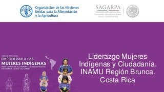 Liderazgo Mujeres
Indígenas y Ciudadanía.
INAMU Región Brunca.
Costa Rica
 