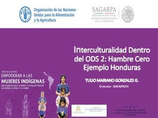 Interculturalidad Dentro
del ODS 2: Hambre Cero
Ejemplo Honduras
TULIO MARIANO GONZALES G.
Director DINAFROH
 