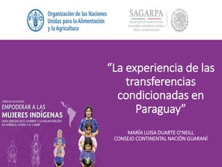 “La experiencia de las
transferencias
condicionadas en
Paraguay”
MARÍA LUISA DUARTE O’NEILL
CONSEJO CONTINENTAL NACIÓN GUARANÍ
 