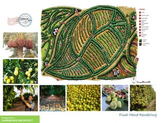 Final Hand Rendering
Designed by a
LANDSCAPE ARCHITECT
 