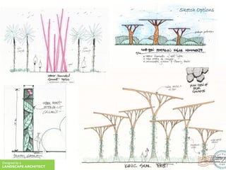 Sketch Options
Designed by a
LANDSCAPE ARCHITECT
 