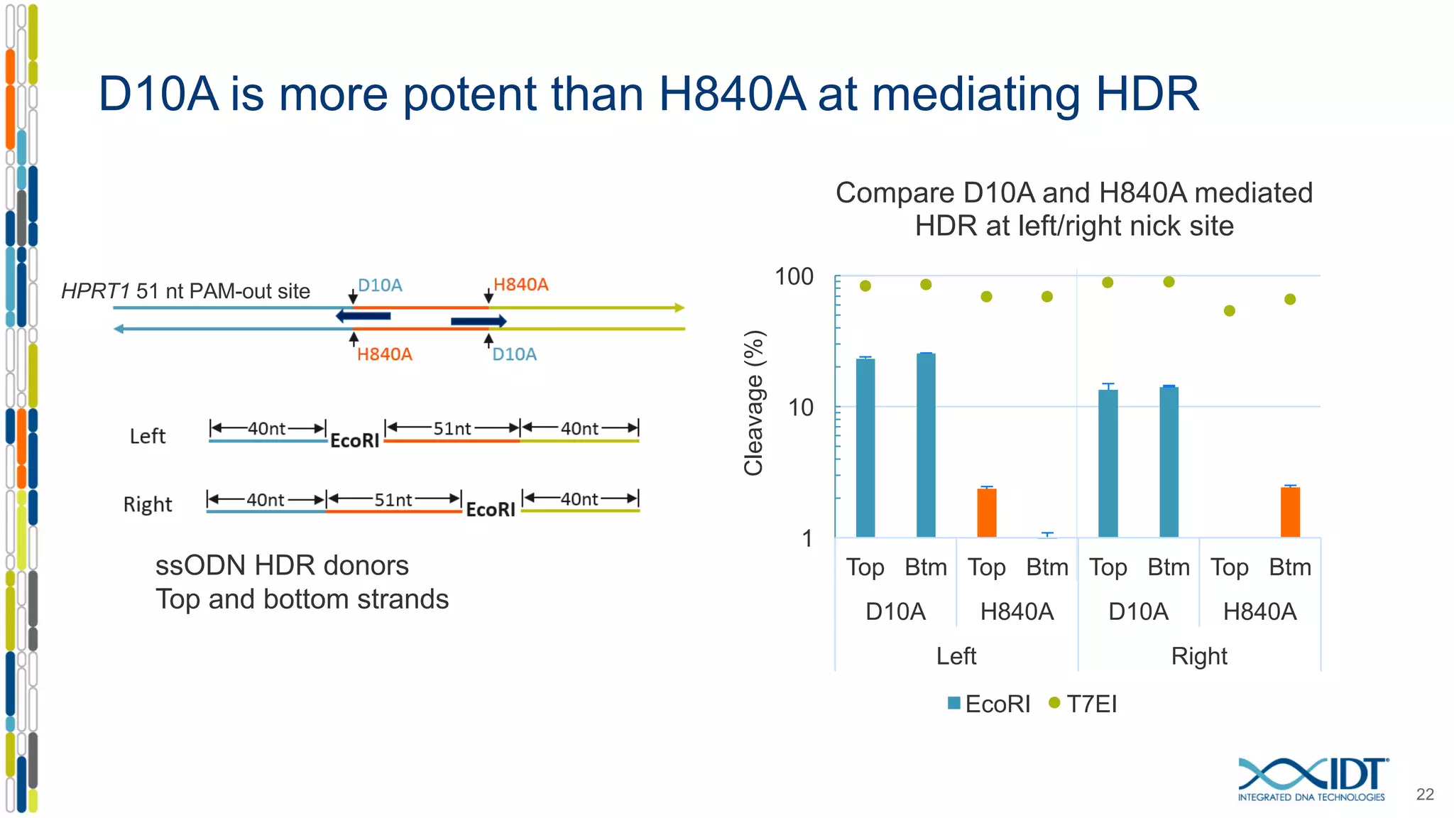 D10A is more potent than H840A at mediating HDR
22
ssODN HDR donors
Top and bottom strands
1
10
100
Top Btm Top Btm Top Btm Top Btm
D10A H840A D10A H840A
Left Right
Cleavage(%)
Compare D10A and H840A mediated
HDR at left/right nick site
EcoRI T7EI
HPRT1 51 nt PAM-out site
 