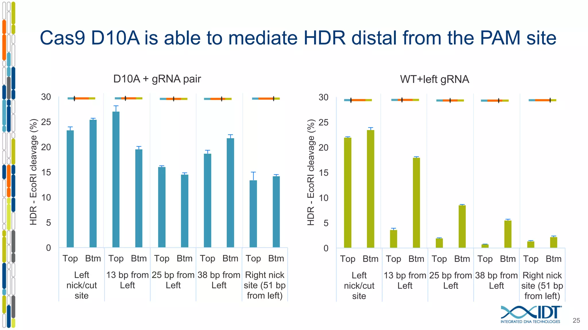 Cas9 D10A is able to mediate HDR distal from the PAM site
25
0
5
10
15
20
25
30
Top Btm Top Btm Top Btm Top Btm Top Btm
Left
nick/cut
site
13 bp from
Left
25 bp from
Left
38 bp from
Left
Right nick
site (51 bp
from left)
HDR-EcoRIcleavage(%)
D10A + gRNA pair
0
5
10
15
20
25
30
Top Btm Top Btm Top Btm Top Btm Top Btm
Left
nick/cut
site
13 bp from
Left
25 bp from
Left
38 bp from
Left
Right nick
site (51 bp
from left)
HDR-EcoRIcleavage(%)
WT+left gRNA
 