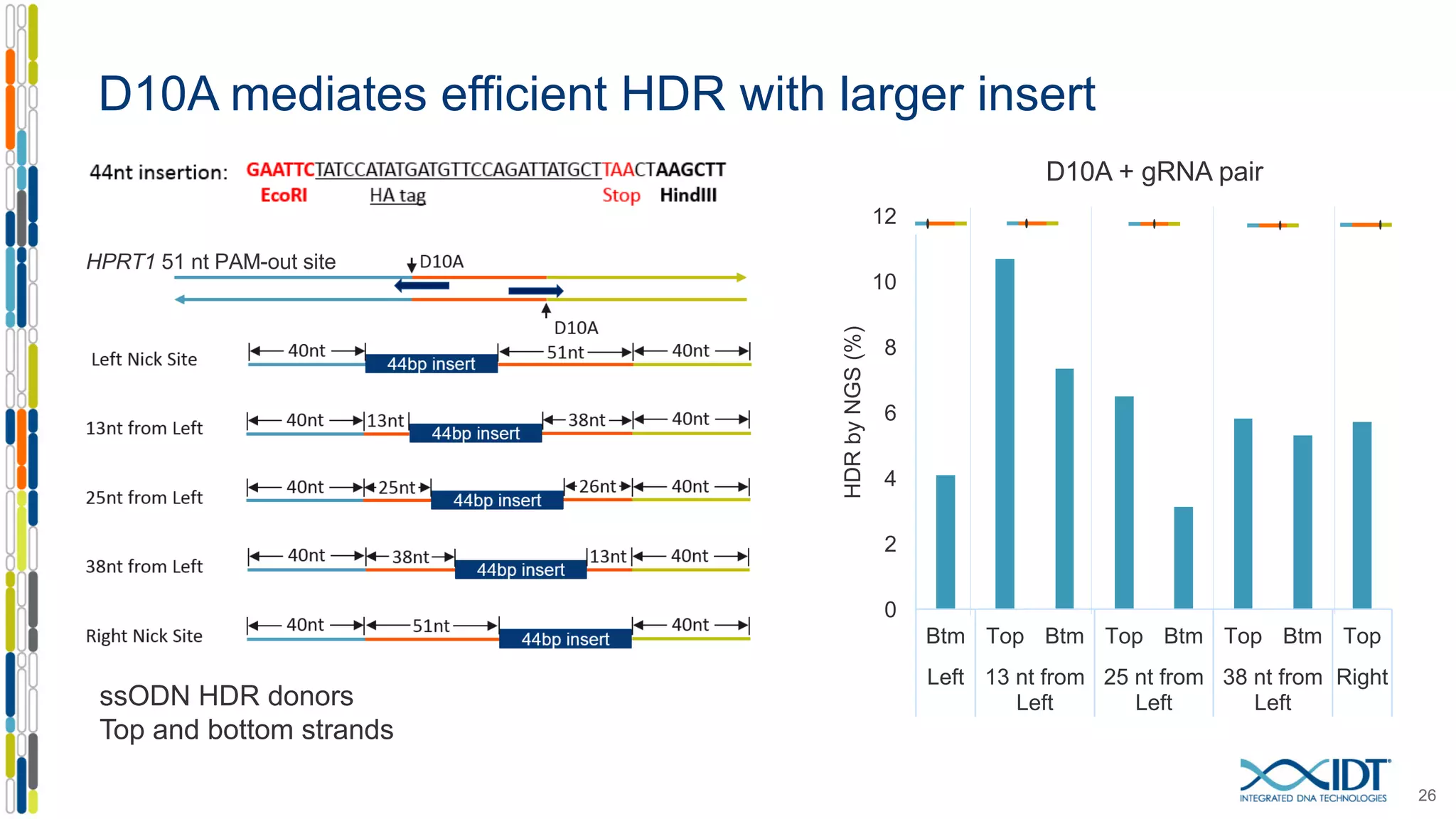 26
D10A mediates efficient HDR with larger insert
ssODN HDR donors
Top and bottom strands
HPRT1 51 nt PAM-out site
0
2
4
6
8
10
12
Btm Top Btm Top Btm Top Btm Top
Left 13 nt from
Left
25 nt from
Left
38 nt from
Left
Right
HDRbyNGS(%)
D10A + gRNA pair
 
