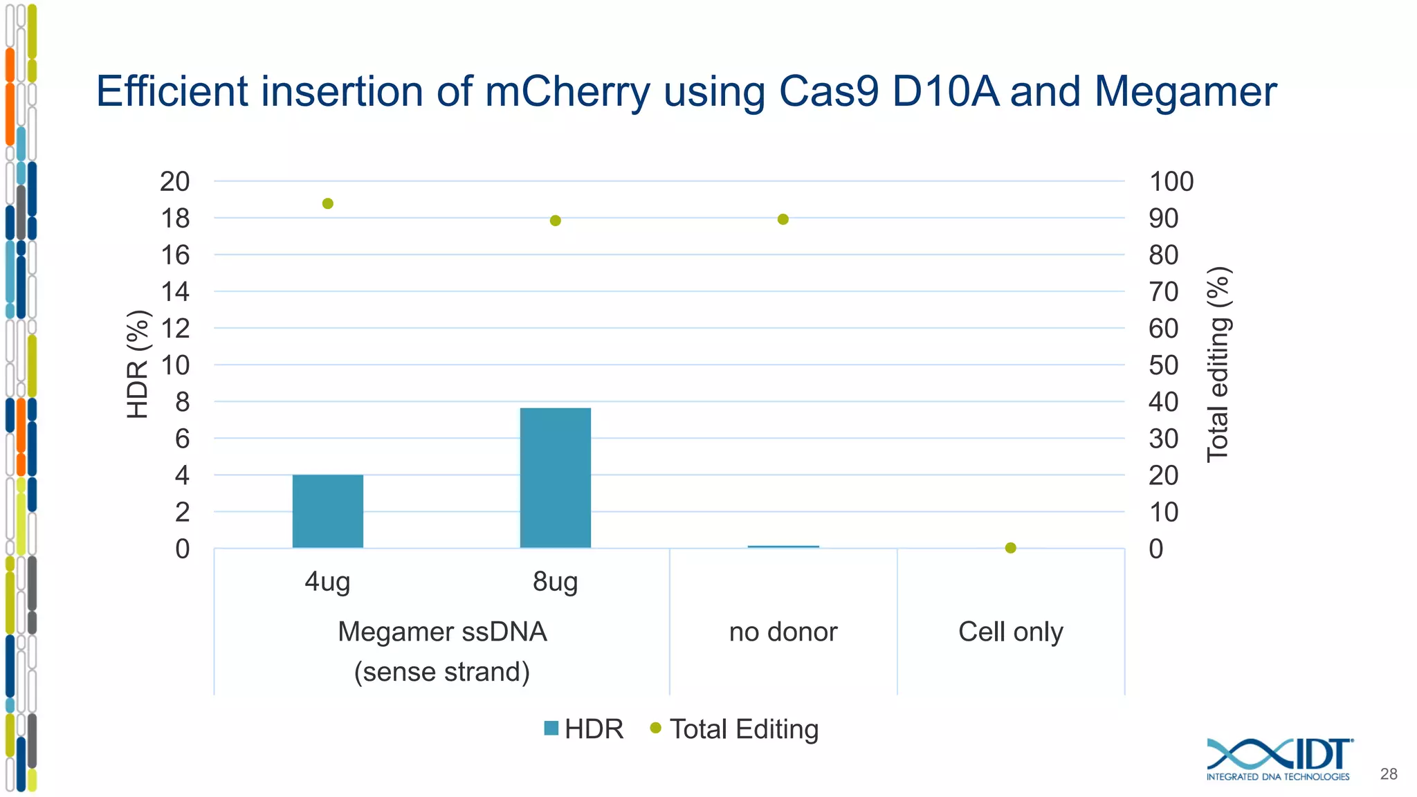 28
0
10
20
30
40
50
60
70
80
90
100
0
2
4
6
8
10
12
14
16
18
20
4ug 8ug
Megamer ssDNA
(sense strand)
no donor Cell only
Totalediting(%)
HDR(%)
HDR Total Editing
Efficient insertion of mCherry using Cas9 D10A and Megamer
 