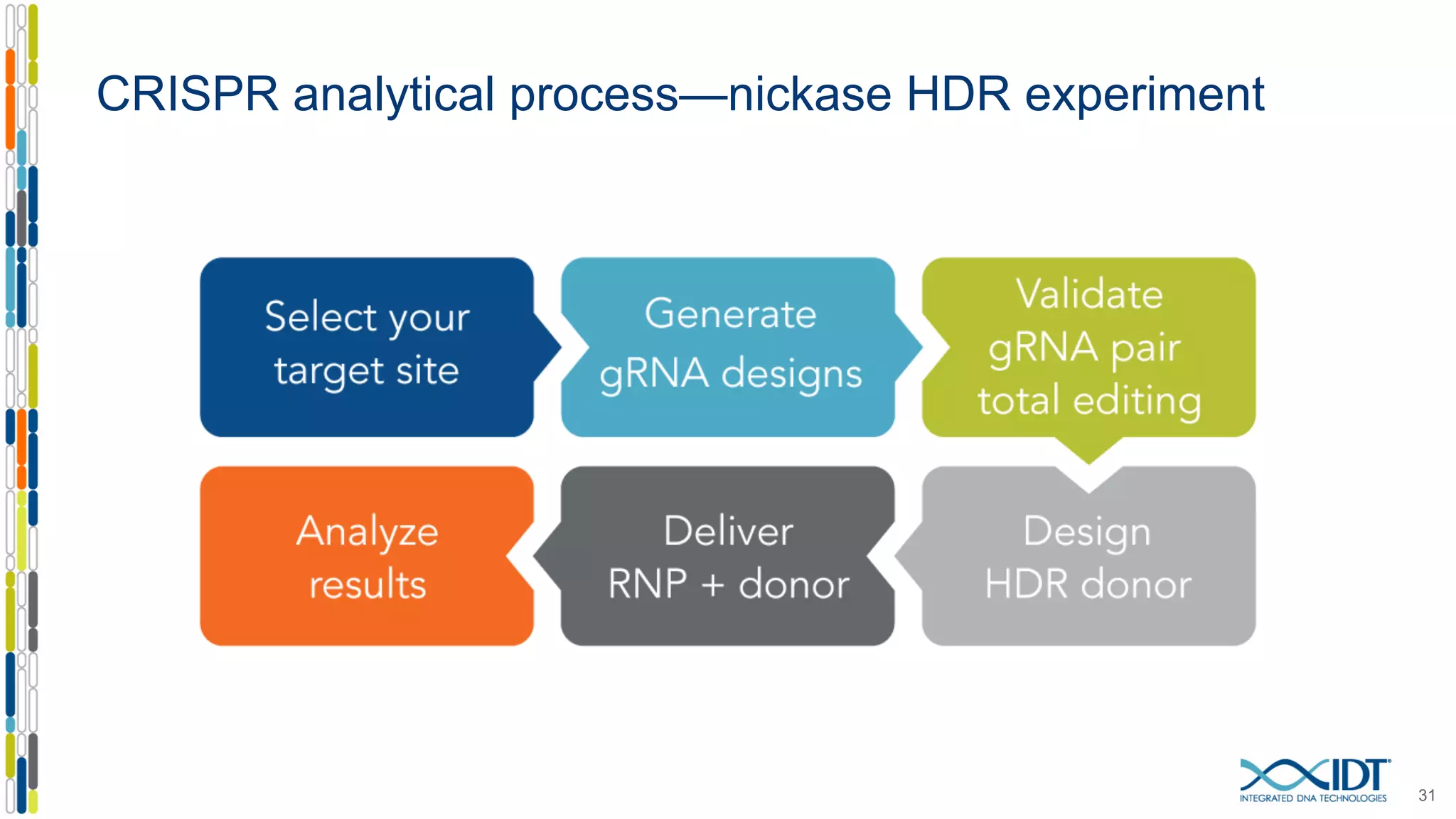 CRISPR analytical process—nickase HDR experiment
31
 