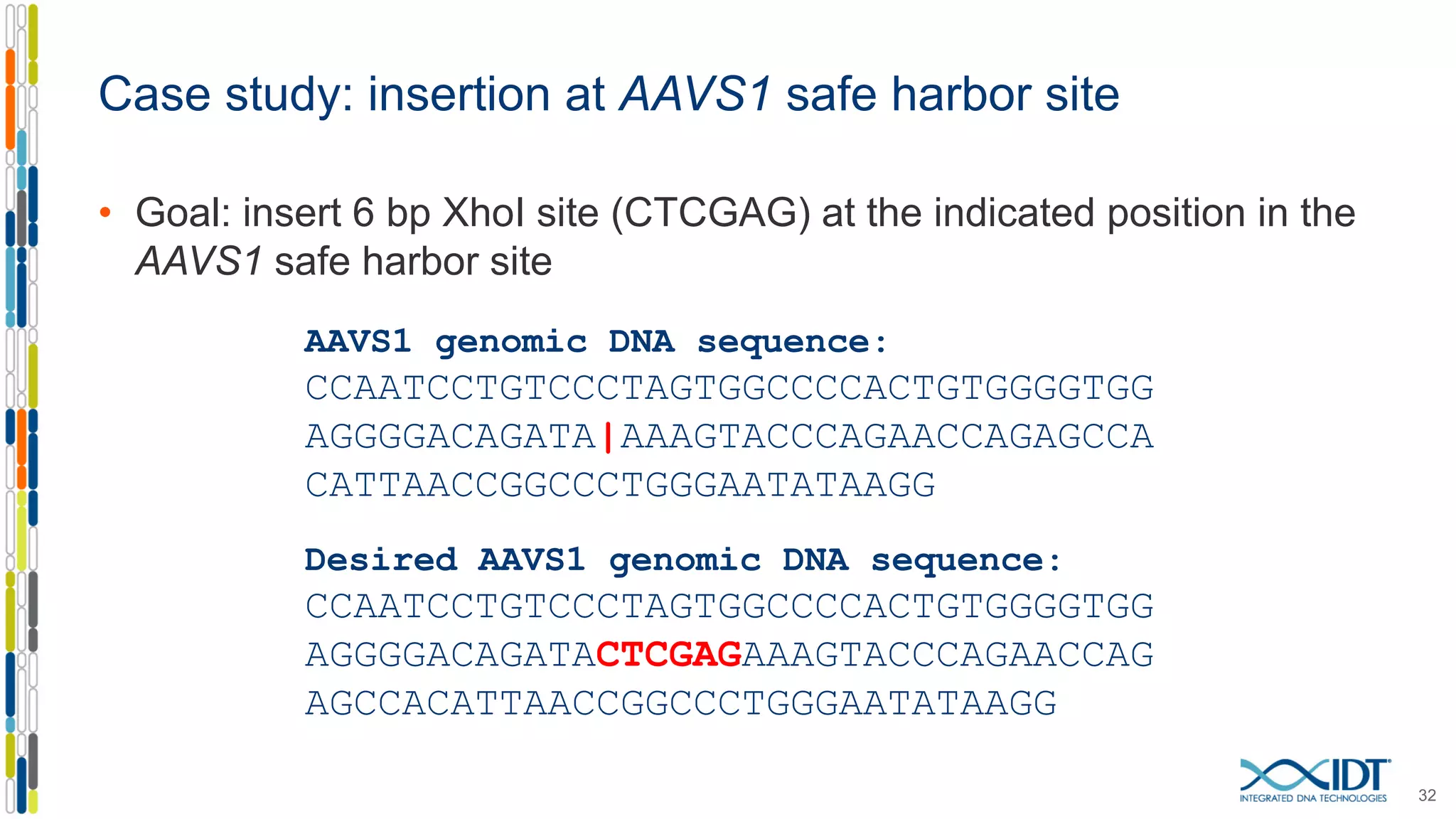 Case study: insertion at AAVS1 safe harbor site
• Goal: insert 6 bp XhoI site (CTCGAG) at the indicated position in the
AAVS1 safe harbor site
32
AAVS1 genomic DNA sequence:
CCAATCCTGTCCCTAGTGGCCCCACTGTGGGGTGG
AGGGGACAGATA|AAAGTACCCAGAACCAGAGCCA
CATTAACCGGCCCTGGGAATATAAGG
Desired AAVS1 genomic DNA sequence:
CCAATCCTGTCCCTAGTGGCCCCACTGTGGGGTGG
AGGGGACAGATACTCGAGAAAGTACCCAGAACCAG
AGCCACATTAACCGGCCCTGGGAATATAAGG
 
