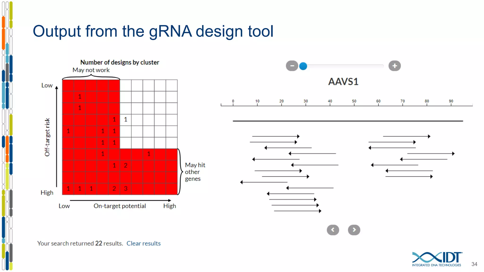 Output from the gRNA design tool
34
 