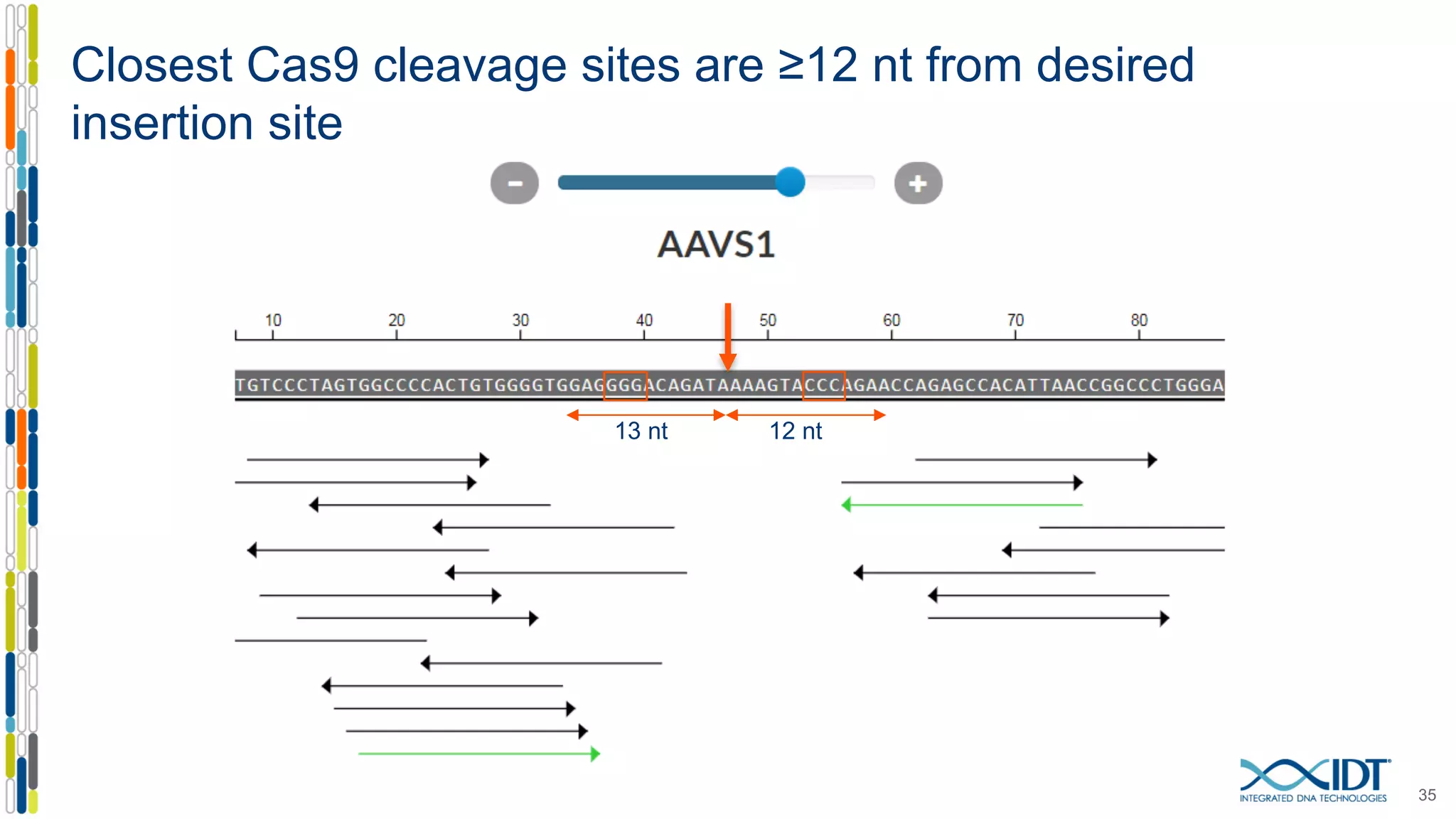 Closest Cas9 cleavage sites are ≥12 nt from desired
insertion site
35
13 nt 12 nt
 