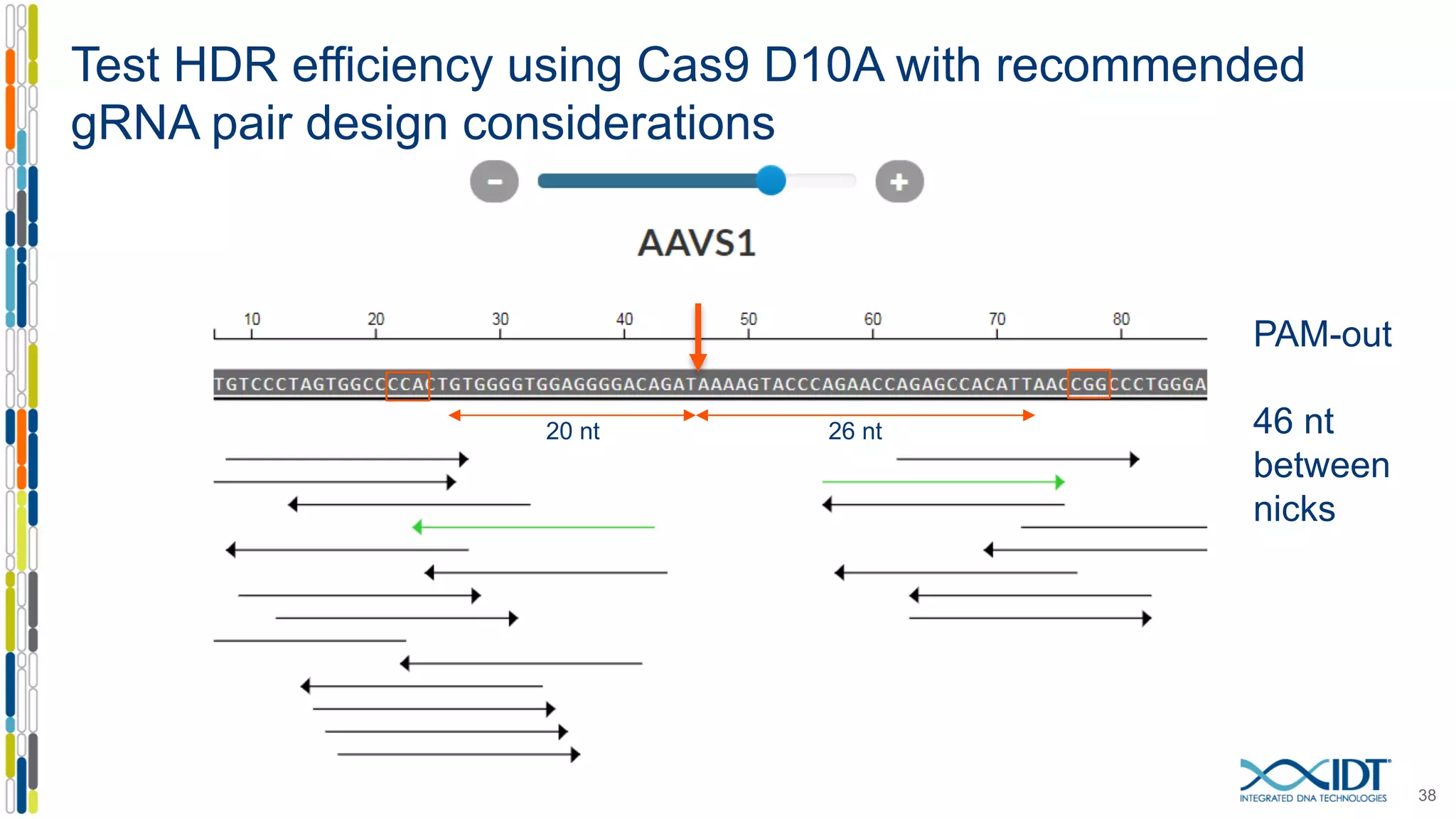 Test HDR efficiency using Cas9 D10A with recommended
gRNA pair design considerations
38
20 nt 26 nt
PAM-out
46 nt
between
nicks
 