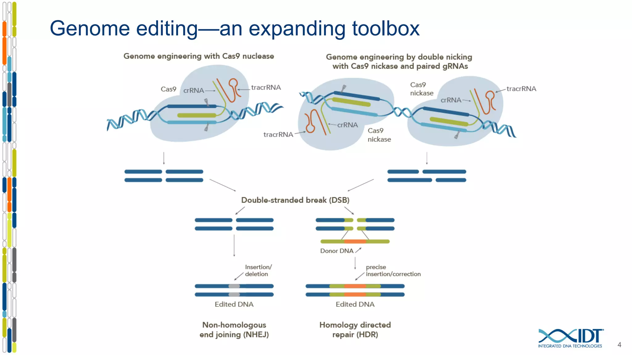 Genome editing—an expanding toolbox
4
 
