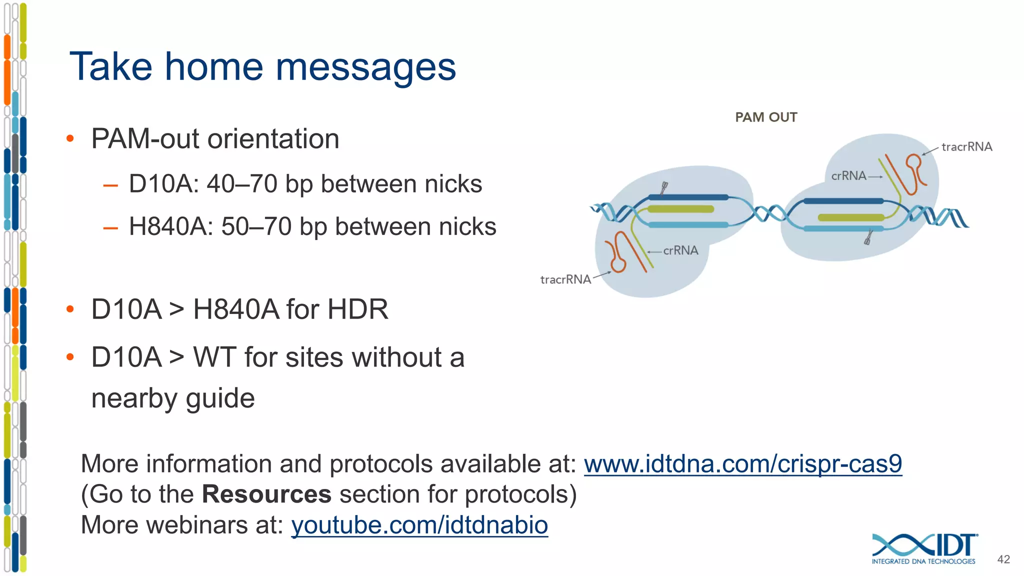 Take home messages
• PAM-out orientation
– D10A: 40–70 bp between nicks
– H840A: 50–70 bp between nicks
• D10A > H840A for HDR
• D10A > WT for sites without a
nearby guide
42
More information and protocols available at: www.idtdna.com/crispr-cas9
(Go to the Resources section for protocols)
More webinars at: youtube.com/idtdnabio
 