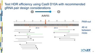Optimized methods to use Cas9 nickases in genome editing | PDF