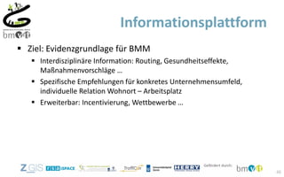  Ziel: Evidenzgrundlage für BMM
 Interdisziplinäre Information: Routing, Gesundheitseffekte,
Maßnahmenvorschläge …
 Spezifische Empfehlungen für konkretes Unternehmensumfeld,
individuelle Relation Wohnort – Arbeitsplatz
 Erweiterbar: Incentivierung, Wettbewerbe …
Informationsplattform
46
 