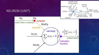 NEURON (UNIT)
 