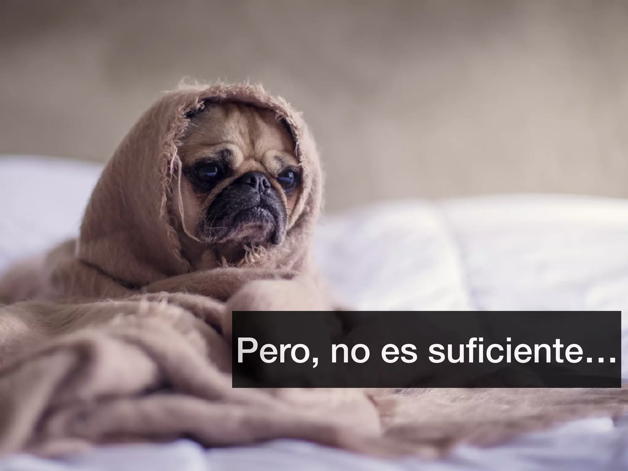Pero, no es suﬁciente…
 