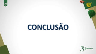 CONCLUSÃO
 