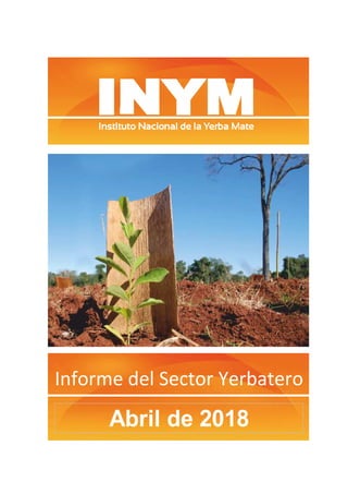 Informe del Sector Yerbatero
Abril de 2018
 