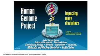 http://www.ornl.gov/sci/techresources/Human_Genome/graphics/99-1133r.jpg
 