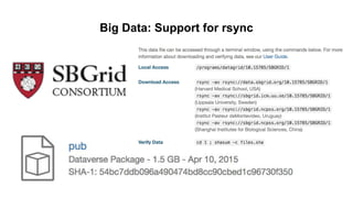 Big Data: Support for rsync
 