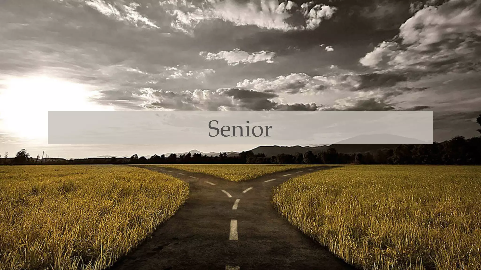 Senior
 