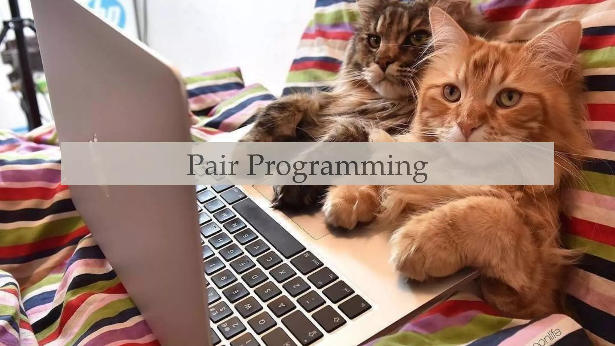 Pair Programming
 