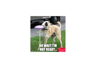 Writing a Python C extension | PDF