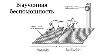 Выученная
беспомощность
 