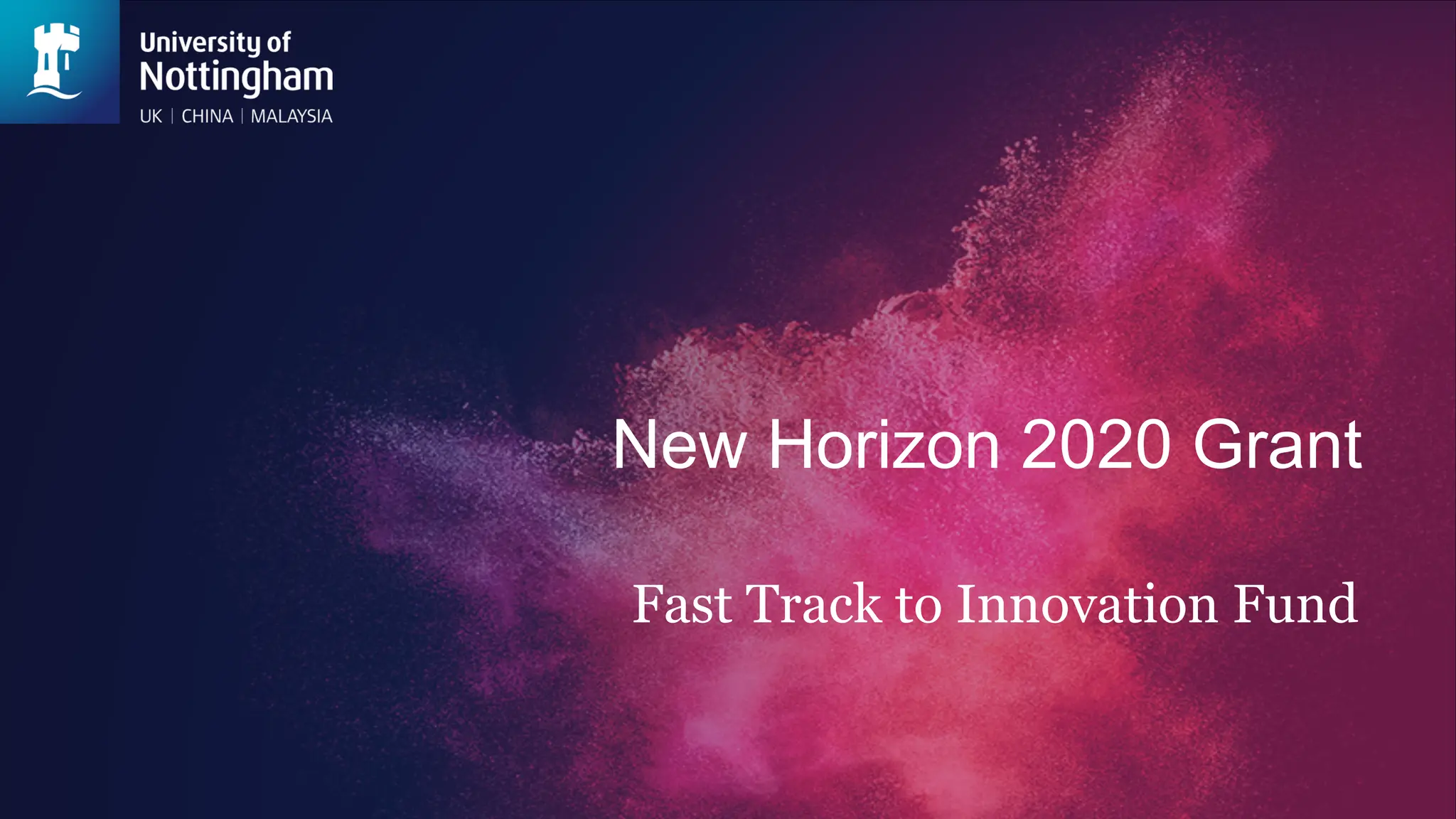New Horizon 2020 Grant
Fast Track to Innovation Fund
 