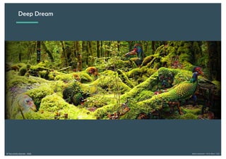 Alexia Audevart – IA & Rêve - CJD© Tous droits réservés - 2018
Deep Dream
 