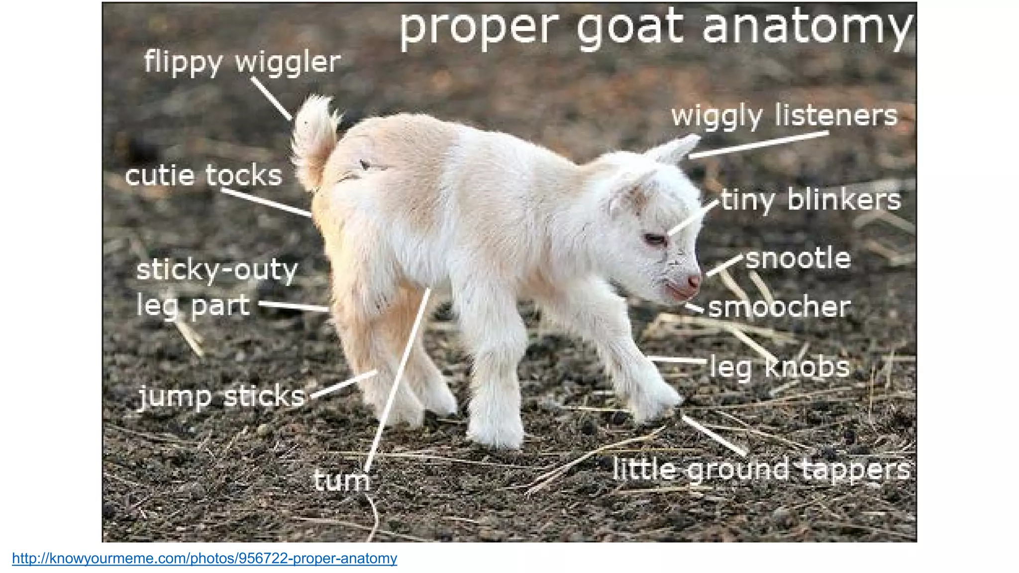 http://knowyourmeme.com/photos/956722-proper-anatomy
 