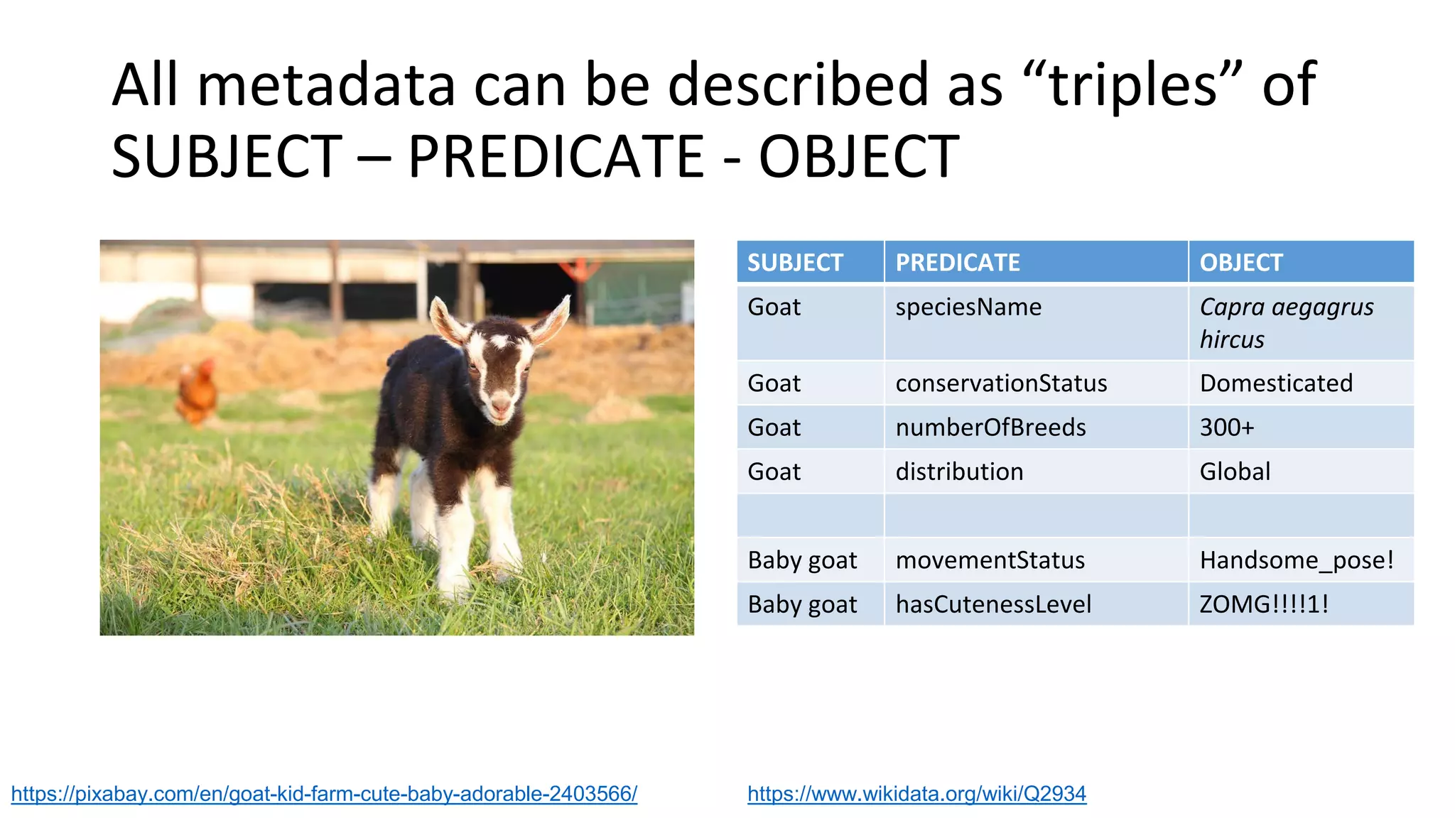 All metadata can be described as “triples” of
SUBJECT – PREDICATE - OBJECT
SUBJECT PREDICATE OBJECT
Goat speciesName Capra aegagrus
hircus
Goat conservationStatus Domesticated
Goat numberOfBreeds 300+
Goat distribution Global
Baby goat movementStatus Handsome_pose!
Baby goat hasCutenessLevel ZOMG!!!!1!
https://pixabay.com/en/goat-kid-farm-cute-baby-adorable-2403566/ https://www.wikidata.org/wiki/Q2934
 