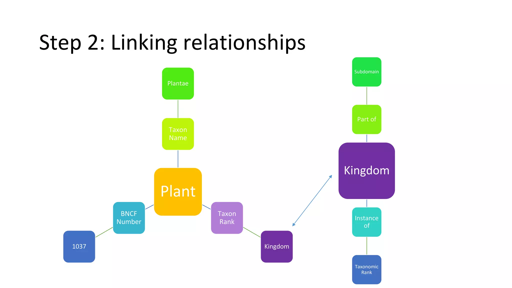 Kingdom
Part of
Subdomain
Instance
of
Taxonomic
Rank
Step 2: Linking relationships
Plant
Taxon
Name
Plantae
Taxon
Rank
Kingdom
BNCF
Number
1037
 