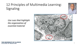 12 Principles of Multimedia Learning:
Signaling
20
Use cues that highlight
the organization of
essential material
 
