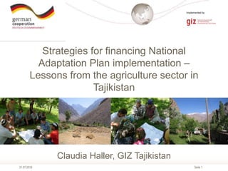 Seite 1
Implemented by
31.07.2018
Strategies for financing National
Adaptation Plan implementation –
Lessons from the agri...