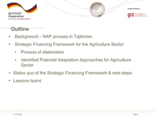 Seite 2
Implemented by
Outline
31.07.2018
• Background – NAP process in Tajikistan
• Strategic Financing Framework for the...