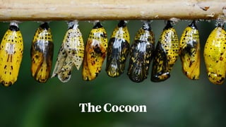 The Cocoon
 