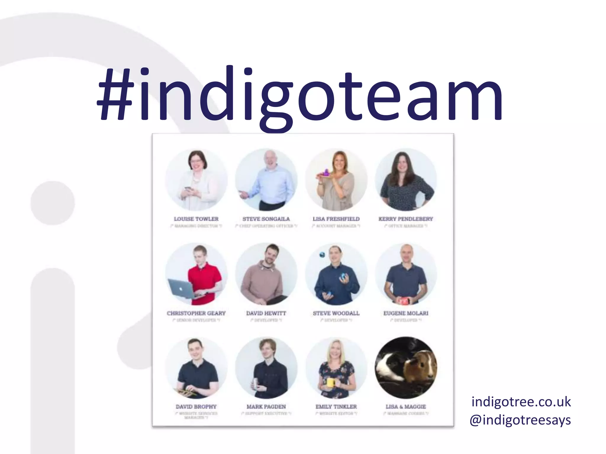 #indigoteam
indigotree.co.uk
@indigotreesays
 