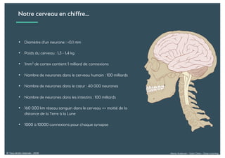 Alexia Audevart – Salon Data – Deep Learning© Tous droits réservés - 2018
Notre cerveau en chiffre…
• Diamètre d'un neurone : <0,1 mm
• Poids du cerveau : 1,3 - 1,4 kg
• 1mm3 de cortex contient 1 milliard de connexions
• Nombre de neurones dans le cerveau humain : 100 milliards
• Nombre de neurones dans le cœur : 40 000 neurones
• Nombre de neurones dans les intestins : 100 milliards
• 160 000 km réseau sanguin dans le cerveau => moitié de la
distance de la Terre à la Lune
• 1000 à 10000 connexions pour chaque synapse
 