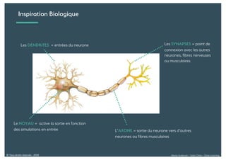 Alexia Audevart – Salon Data – Deep Learning© Tous droits réservés - 2018
Inspiration Biologique
Les DENDRITES = entrées du neurone
L’AXONE = sortie du neurone vers d’autres
neurones ou fibres musculaires
Les SYNAPSES = point de
connexion avec les autres
neurones, fibres nerveuses
ou musculaires
Le NOYAU = active la sortie en fonction
des simulations en entrée
 