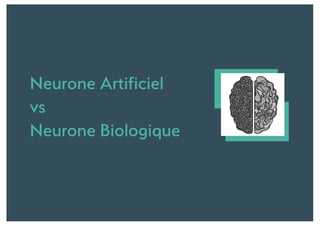 Neurone Artificiel
vs
Neurone Biologique
 
