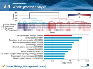 Dumas, Malesys, & Bourgeron (in preps)
SHANK2
Brain
Genes
Z-scoreZ-score
Illumina Human
Bodymap 2
 