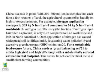 China is a case in point. With 200–300 million households that each
farm a few hectares of land, the agricultural system relies heavily on
high-to-excessive inputs. For example, nitrogen application
averages to 305 kg N ha−1 yr−1 compared to 74 kg N ha−1 yr−1
worldwide16; nitrogen use efficiency (the fraction of nitrogen input
harvested as product) is only 0.25 compared to 0.42 worldwide and
0.65 in North America17. Over-application of nitrogen has caused
widespread soil acidification18, devastating water pollution19 and
excessive greenhouse gas (GHG) emissions20. For a sustainable
food-secure future, China needs a ‘great balancing act’21 to
attain high yield and high efficiency with a substantially reduced
environmental footprint. This cannot be achieved without the vast
smallholder-farming communities
 