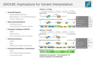 Using the GRCh38 reference assembly for clinical interpretation in ...