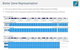 Using the GRCh38 reference assembly for clinical interpretation in ...