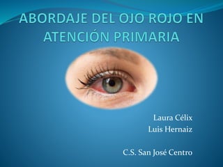 Laura Célix
Luis Hernaiz
C.S. San José Centro
 