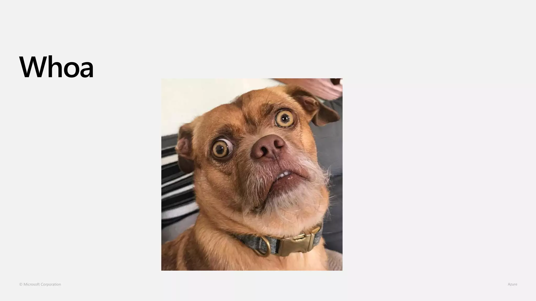 © Microsoft Corporation
Whoa
 